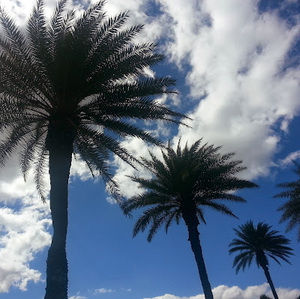 Meet your Posher, Wayne